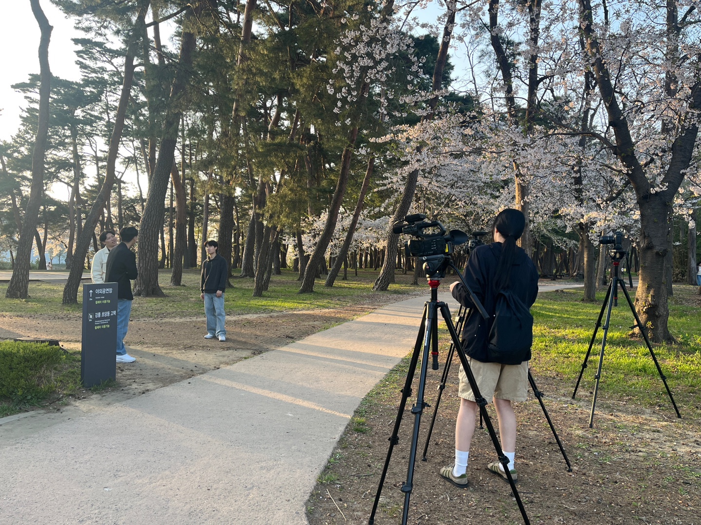 예능콘텐츠제작캡스톤디자인_세 얼간이(4조)_뇌순남트레블러  대표이미지