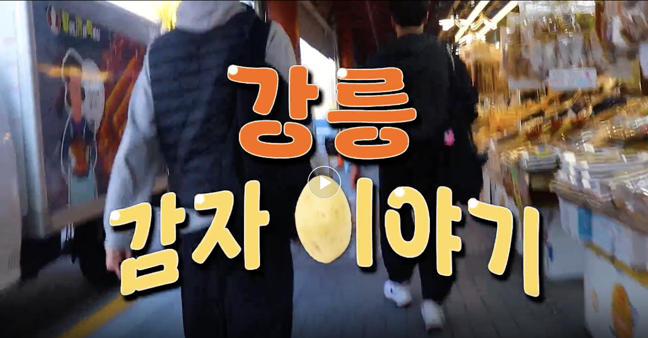 강릉 감자 이야기 대표이미지