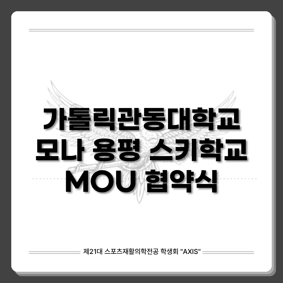 모나 용평 스키학교 mou 대표이미지